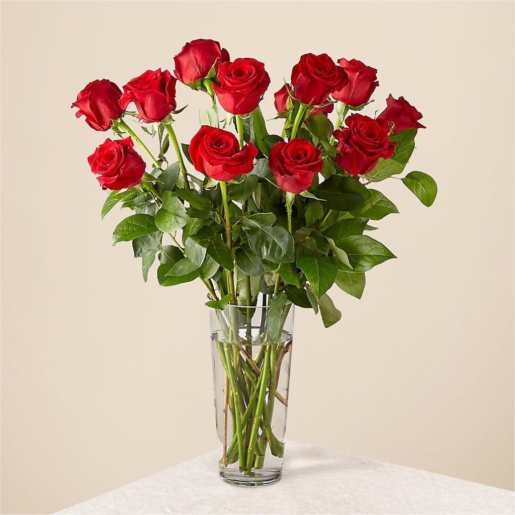 Long Stem Red Rose Bouquet – Knaup Floral Inc, Cape Girardeau MO
