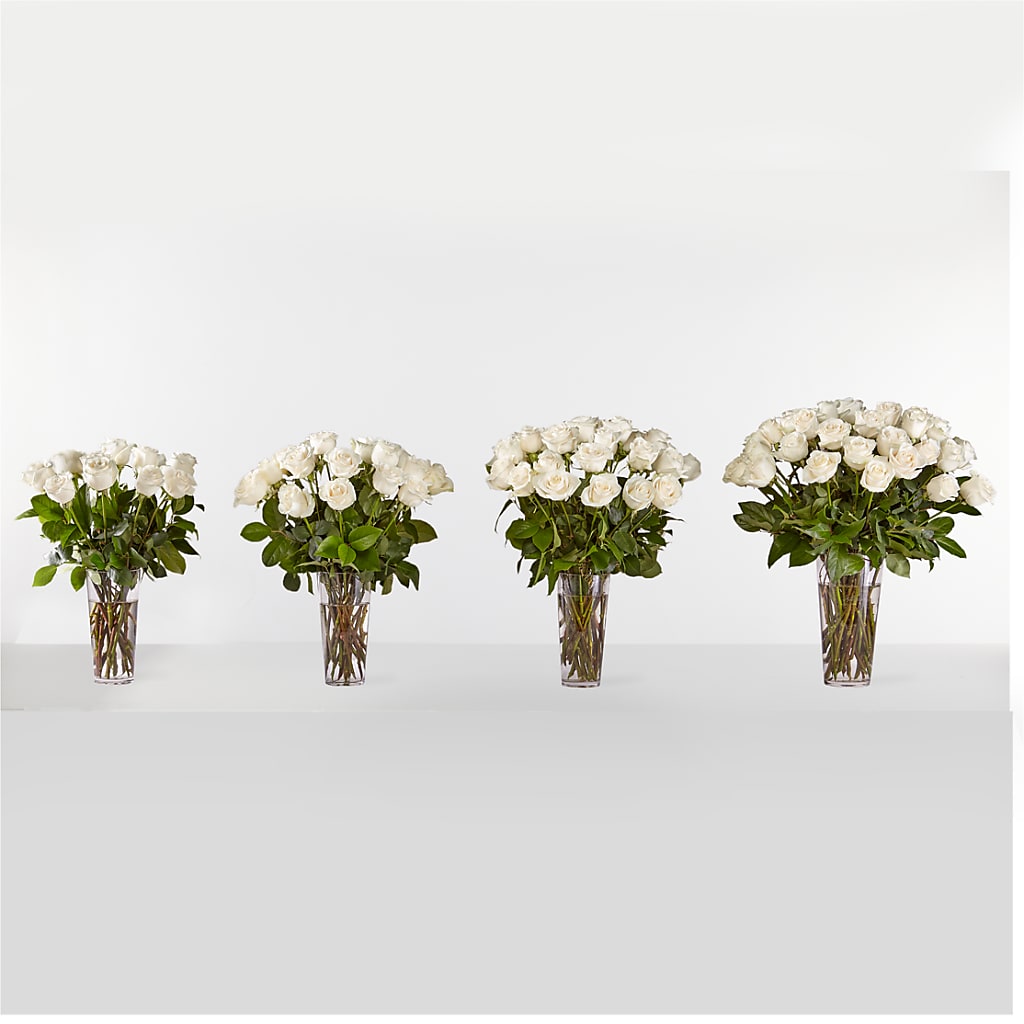 Long Stem White Rose Bouquet – Knaup Floral Inc, Cape Girardeau MO