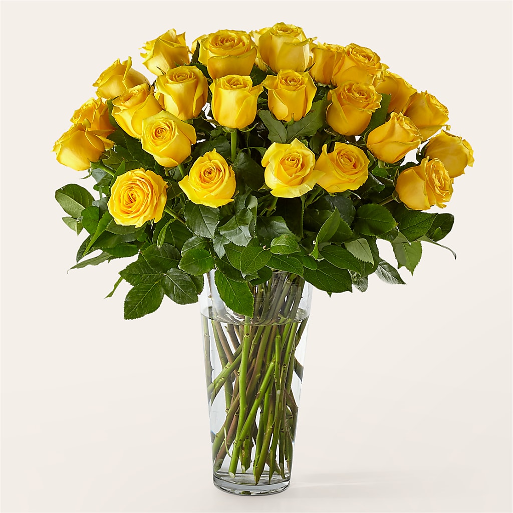 Long Stem Yellow Rose Bouquet – Knaup Floral Inc, Cape Girardeau MO