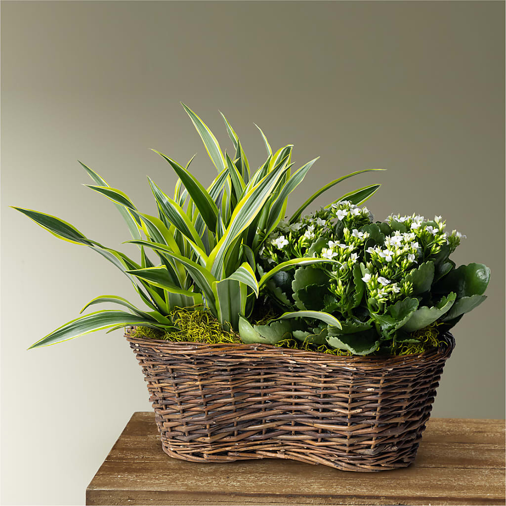 Blooming Garden – Knaup Floral Inc, Cape Girardeau MO