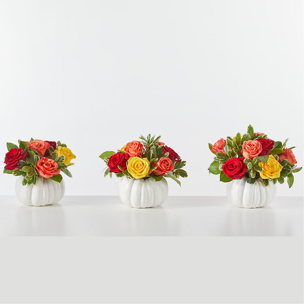Gourd of Gratitude –  Knaup Floral Inc, Cape Girardeau MO