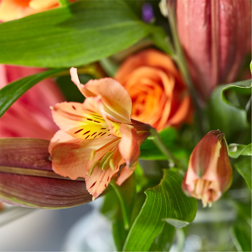 Bold & Bright – A Florist Original –  Knaup Floral Inc, Cape Girardeau MO
