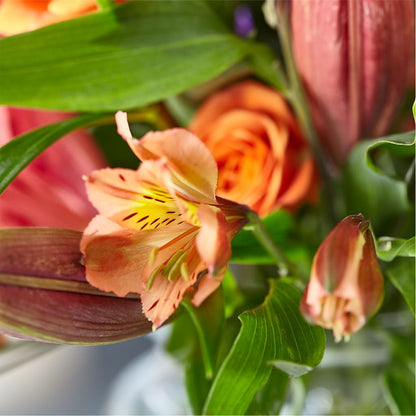 Bold & Bright – A Florist Original –  Knaup Floral Inc, Cape Girardeau MO
