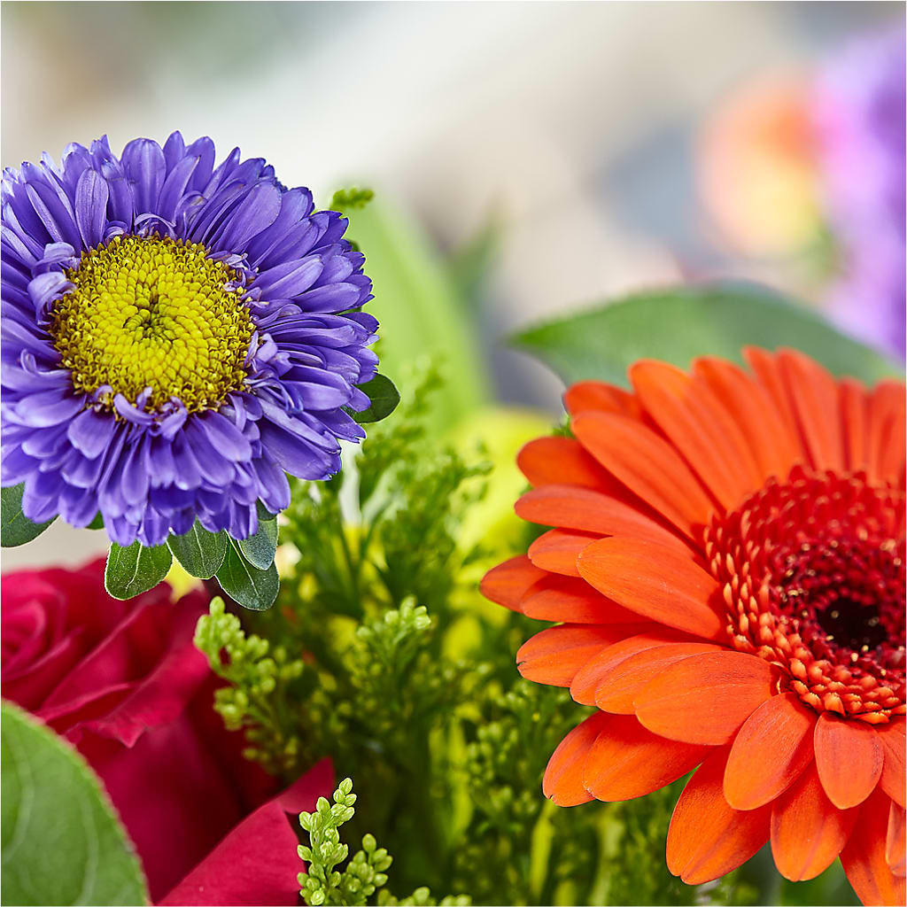 Bold & Bright – A Florist Original –  Knaup Floral Inc, Cape Girardeau MO