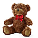 Adorable Plush Bear –  Knaup Floral Inc, Cape Girardeau MO