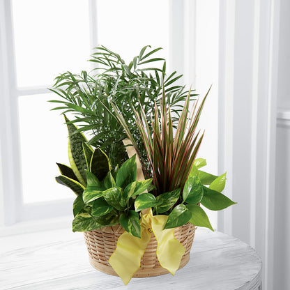 French Garden –  Knaup Floral Inc, Cape Girardeau MO