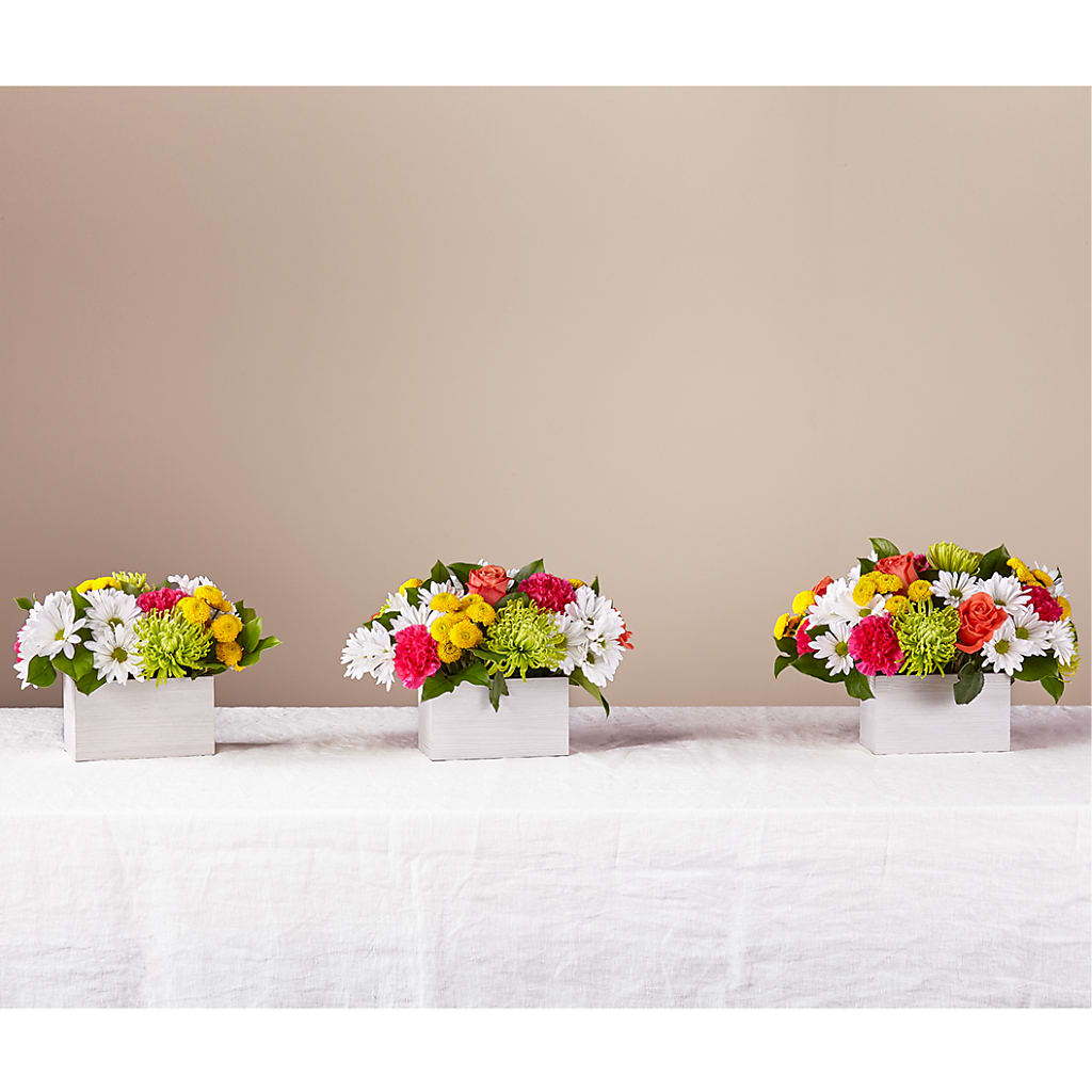 Sorbet Bouquet –  Knaup Floral Inc, Cape Girardeau MO
