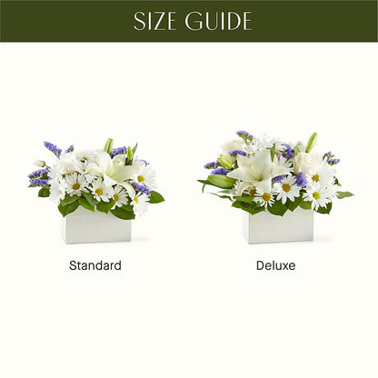Beyond Blue Box Bouquet –  Knaup Floral Inc, Cape Girardeau MO
