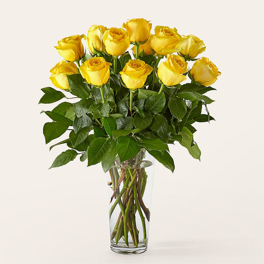 Long Stem Yellow Rose Bouquet –  Knaup Floral Inc, Cape Girardeau MO