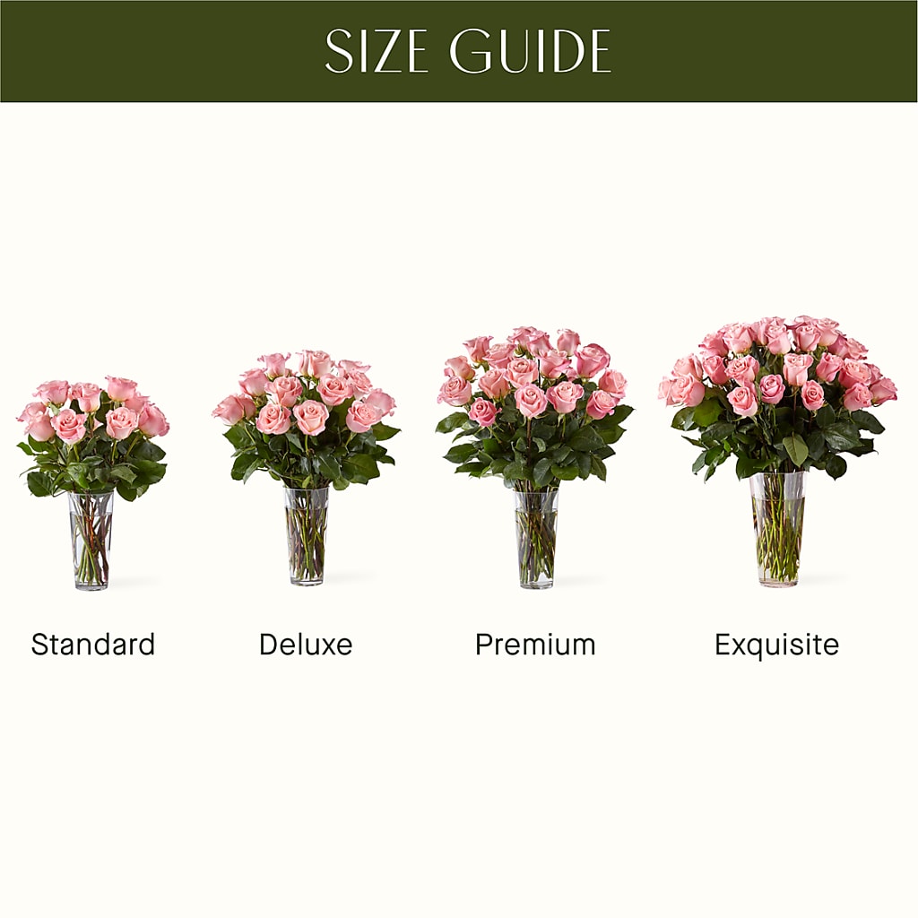 Long Stem Pink Rose Bouquet –  Knaup Floral Inc, Cape Girardeau MO
