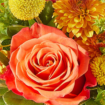 Gourdgeous Pumpkin –  Knaup Floral Inc, Cape Girardeau MO