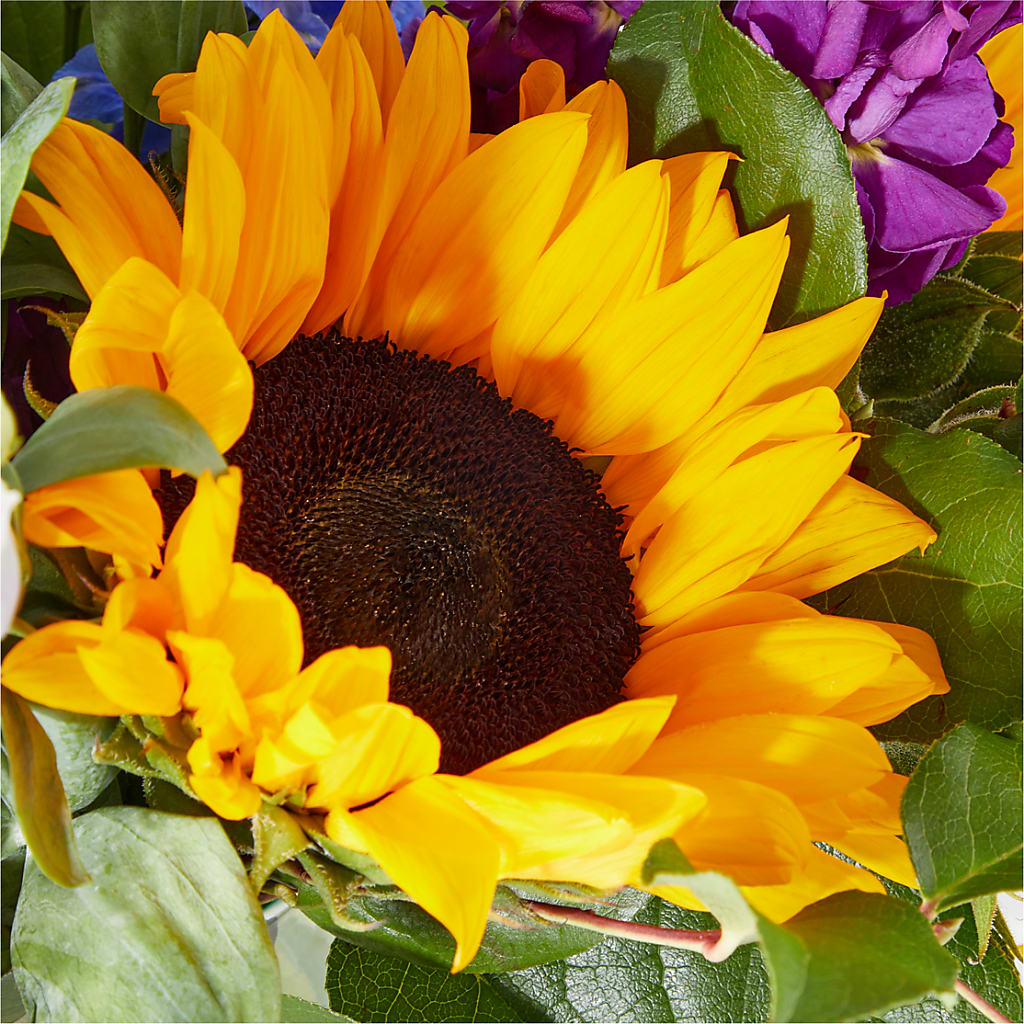 Catching Rays Bouquet –  Knaup Floral Inc, Cape Girardeau MO