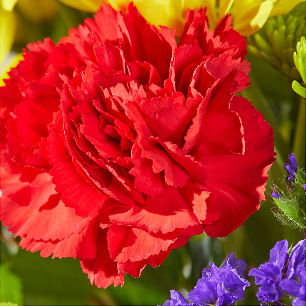 Brighter Days Bouquet –  Knaup Floral Inc, Cape Girardeau MO