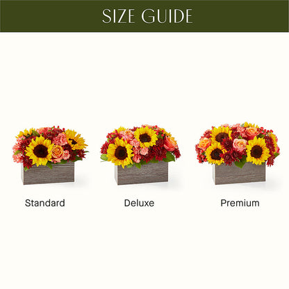 Fresh Cider Bouquet –  Knaup Floral Inc, Cape Girardeau MO