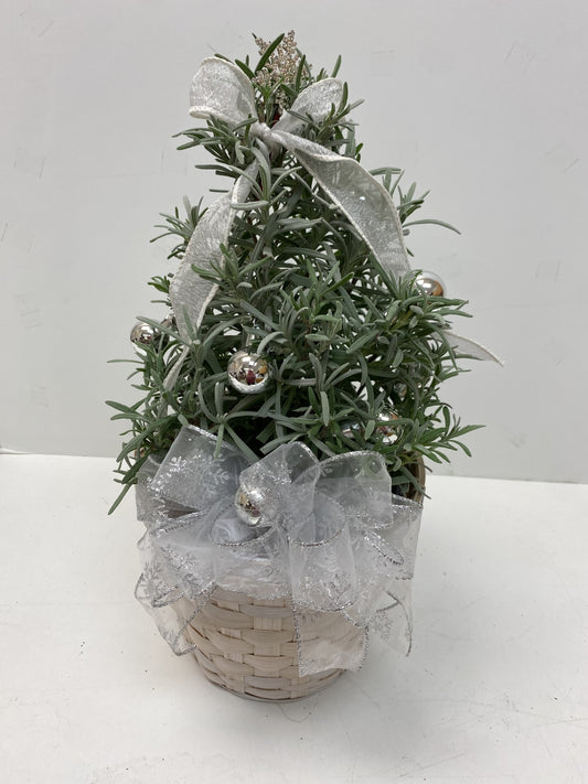 Silver & Lavender Seasonal Herb Tree