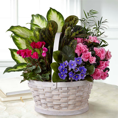 Peaceful Garden Planter –  Knaup Floral Inc, Cape Girardeau MO