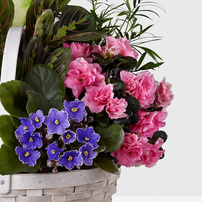 Peaceful Garden Planter –  Knaup Floral Inc, Cape Girardeau MO