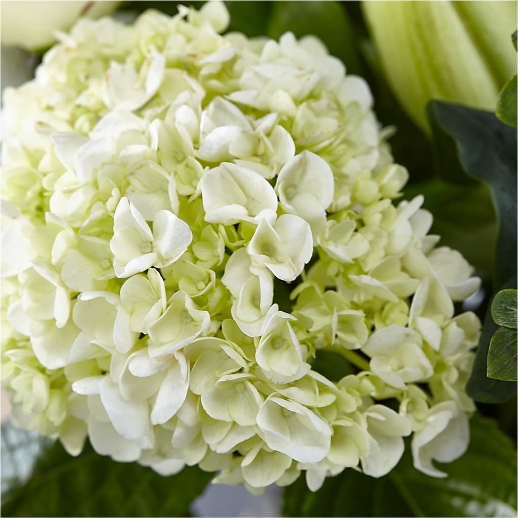 Classic Ivory – A Florist Original –  Knaup Floral Inc, Cape Girardeau MO