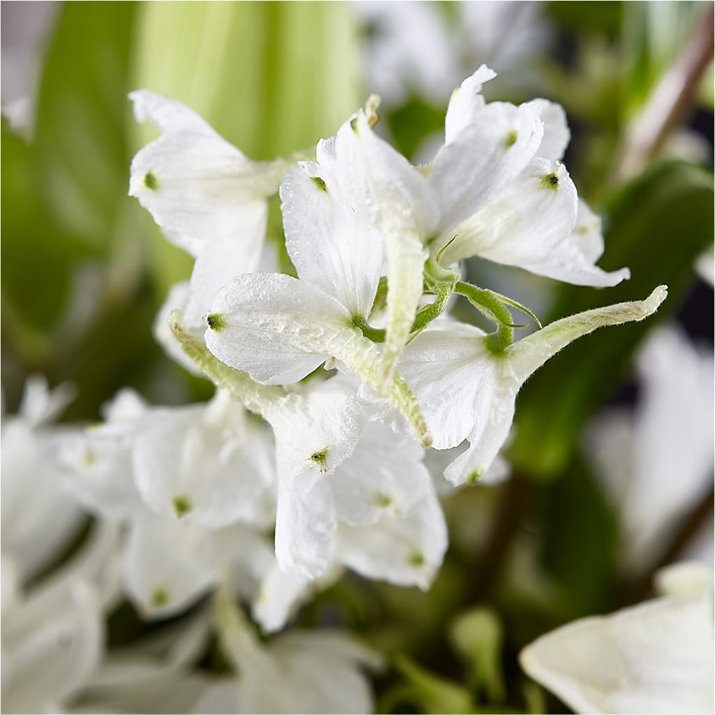 Classic Ivory – A Florist Original –  Knaup Floral Inc, Cape Girardeau MO