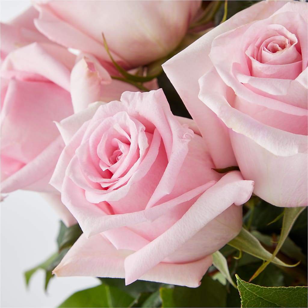 Picture Perfect Pink Rose Bouquet –  Knaup Floral Inc, Cape Girardeau MO