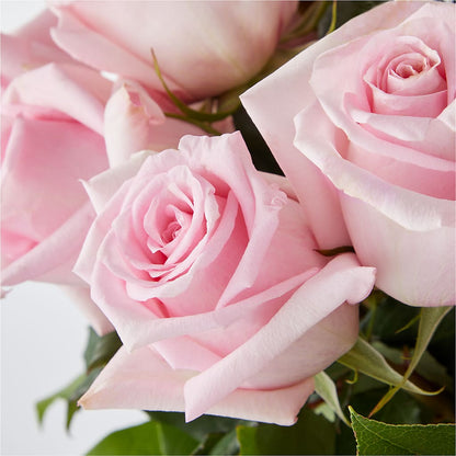 Picture Perfect Pink Rose Bouquet –  Knaup Floral Inc, Cape Girardeau MO