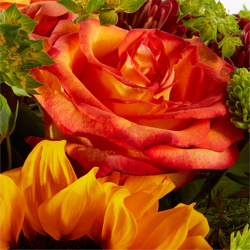 Harvest Festival Bouquet –  Knaup Floral Inc, Cape Girardeau MO