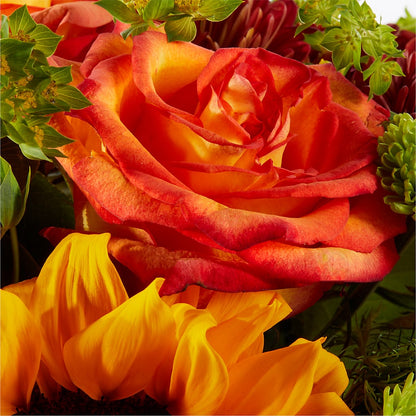 Harvest Festival Bouquet –  Knaup Floral Inc, Cape Girardeau MO