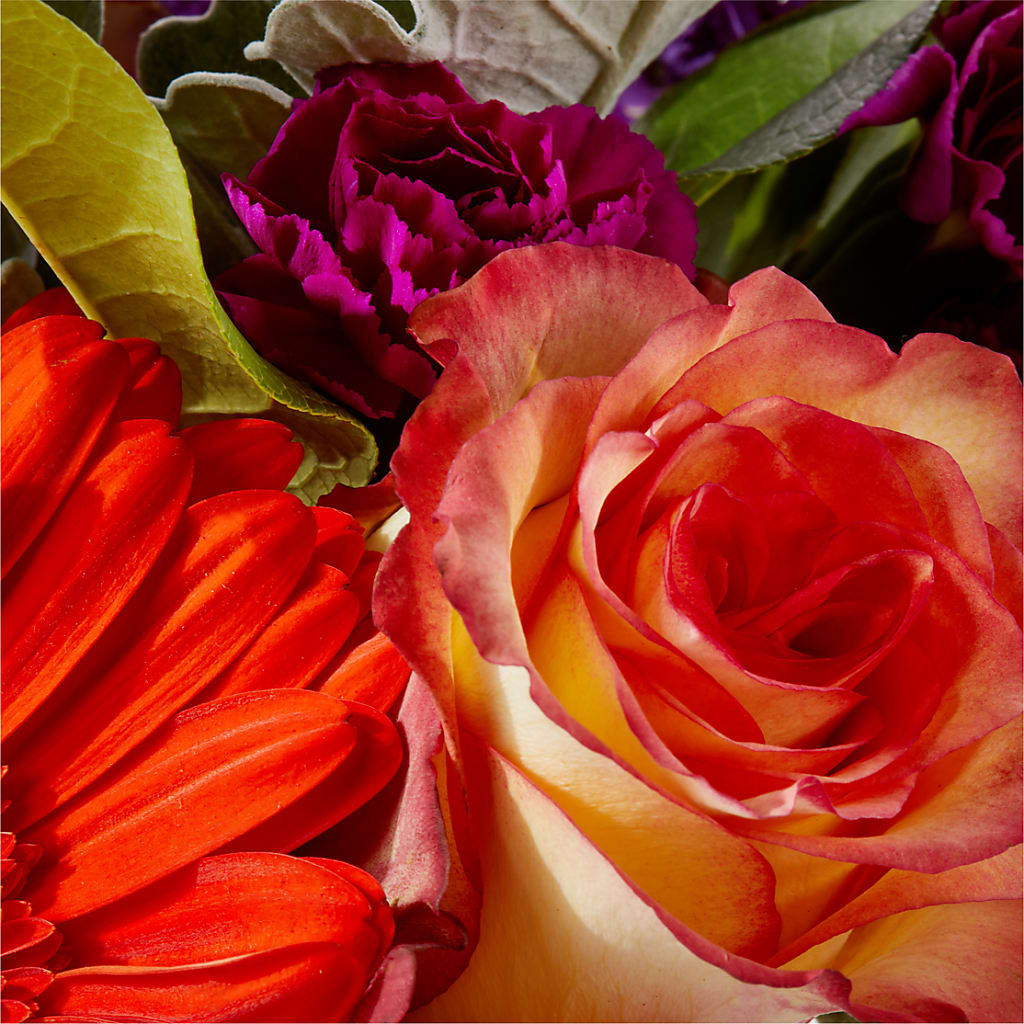Sangria Bouquet –  Knaup Floral Inc, Cape Girardeau MO
