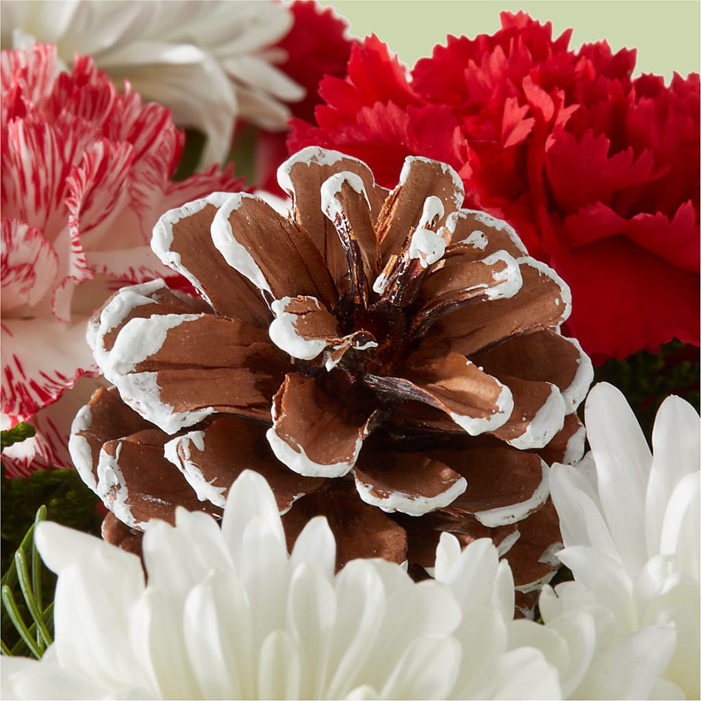 Candy Cane Lane Bouquet –  Knaup Floral Inc, Cape Girardeau MO