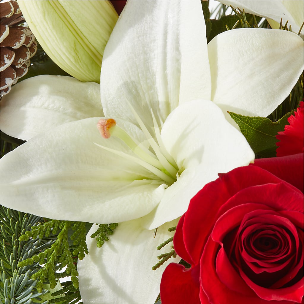 Oh So Jolly Bouquet –  Knaup Floral Inc, Cape Girardeau MO