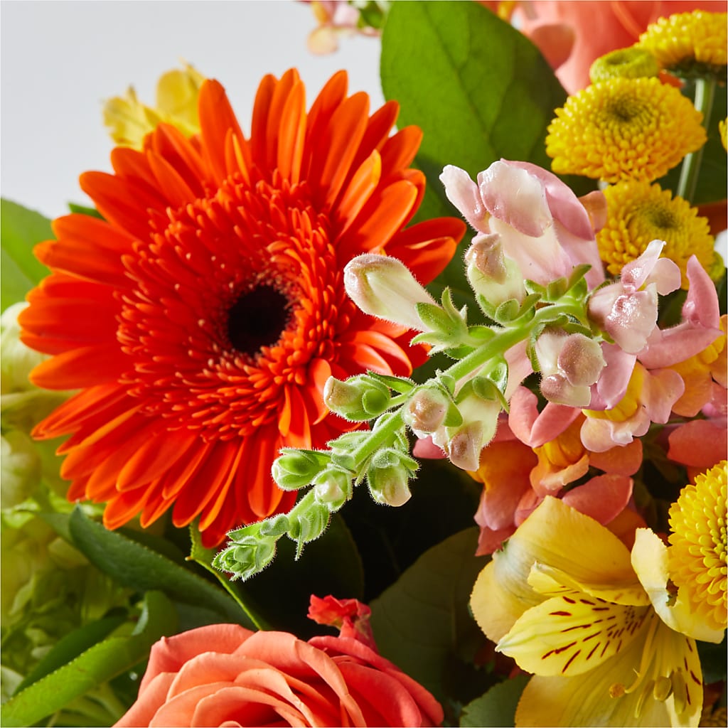 Autumn Sunshine Bouquet –  Knaup Floral Inc, Cape Girardeau MO
