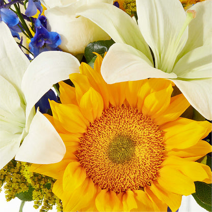 Stargazing Bouquet –  Knaup Floral Inc, Cape Girardeau MO