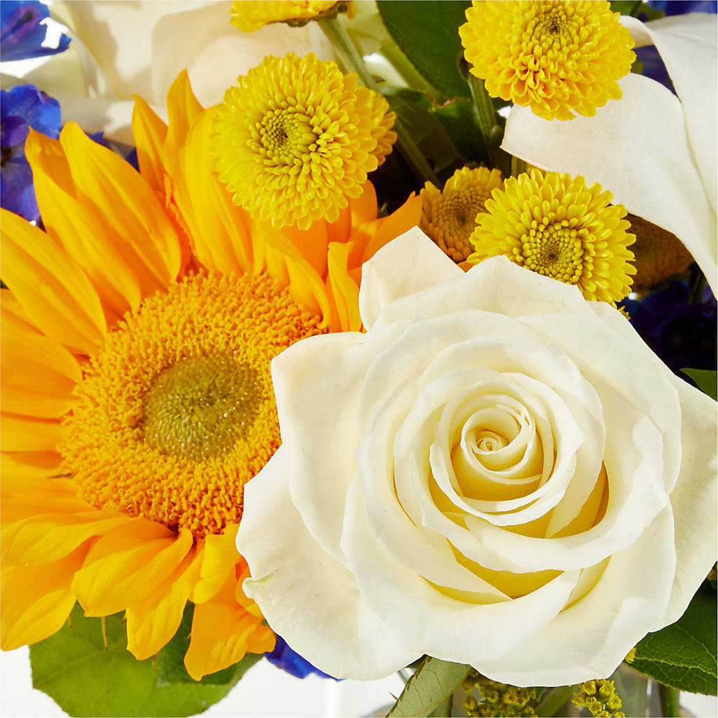 Stargazing Bouquet –  Knaup Floral Inc, Cape Girardeau MO
