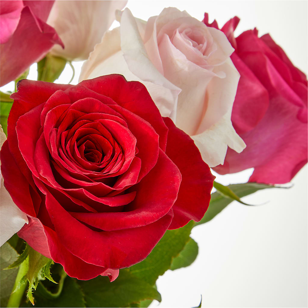 Charming Rose Bouquet –  Knaup Floral Inc, Cape Girardeau MO